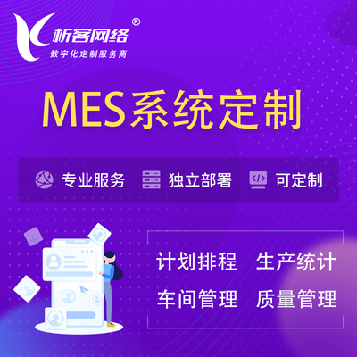 龍巖網(wǎng)絡(luò)技術(shù)服務(wù)全解析 軟件開發(fā)、系統(tǒng)定制與網(wǎng)站建設(shè)